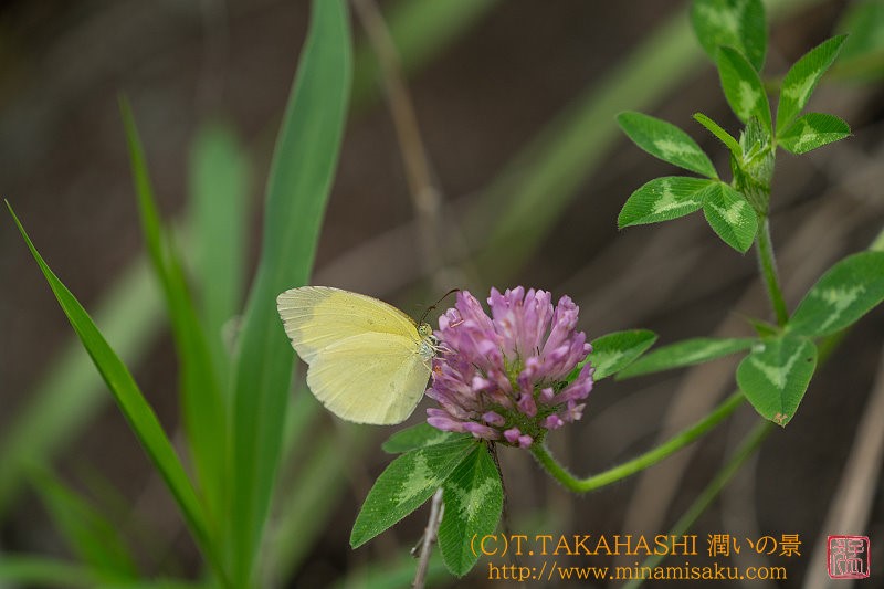 ../Images/7R250705 (37).jpg